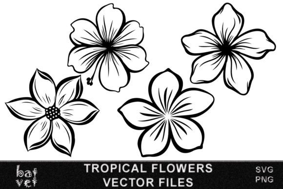 Download Tropical Flower SVG Vector Bundle Design - Flower Collection